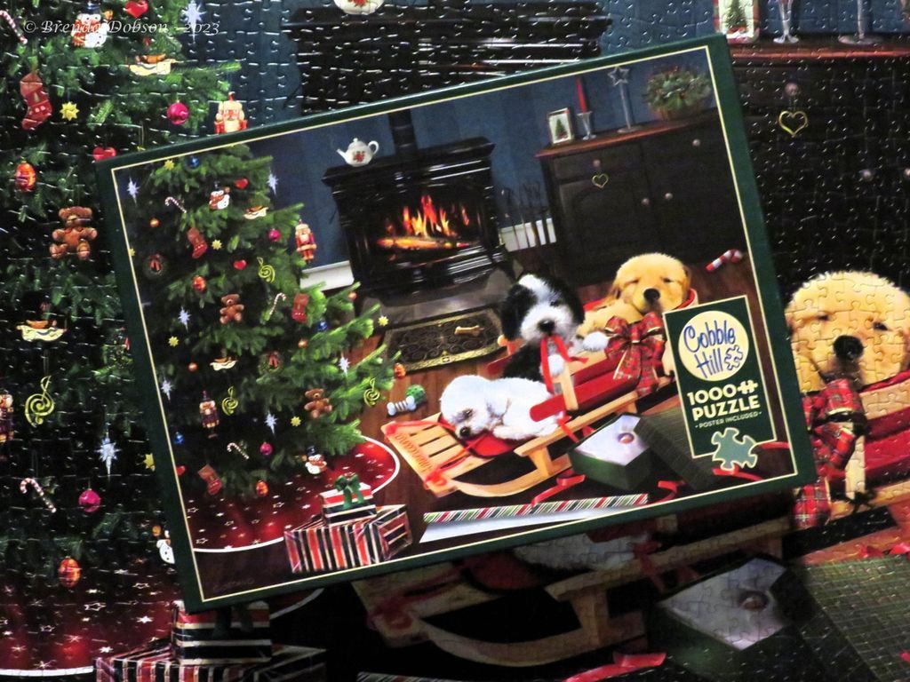 The Best Christmas Gift