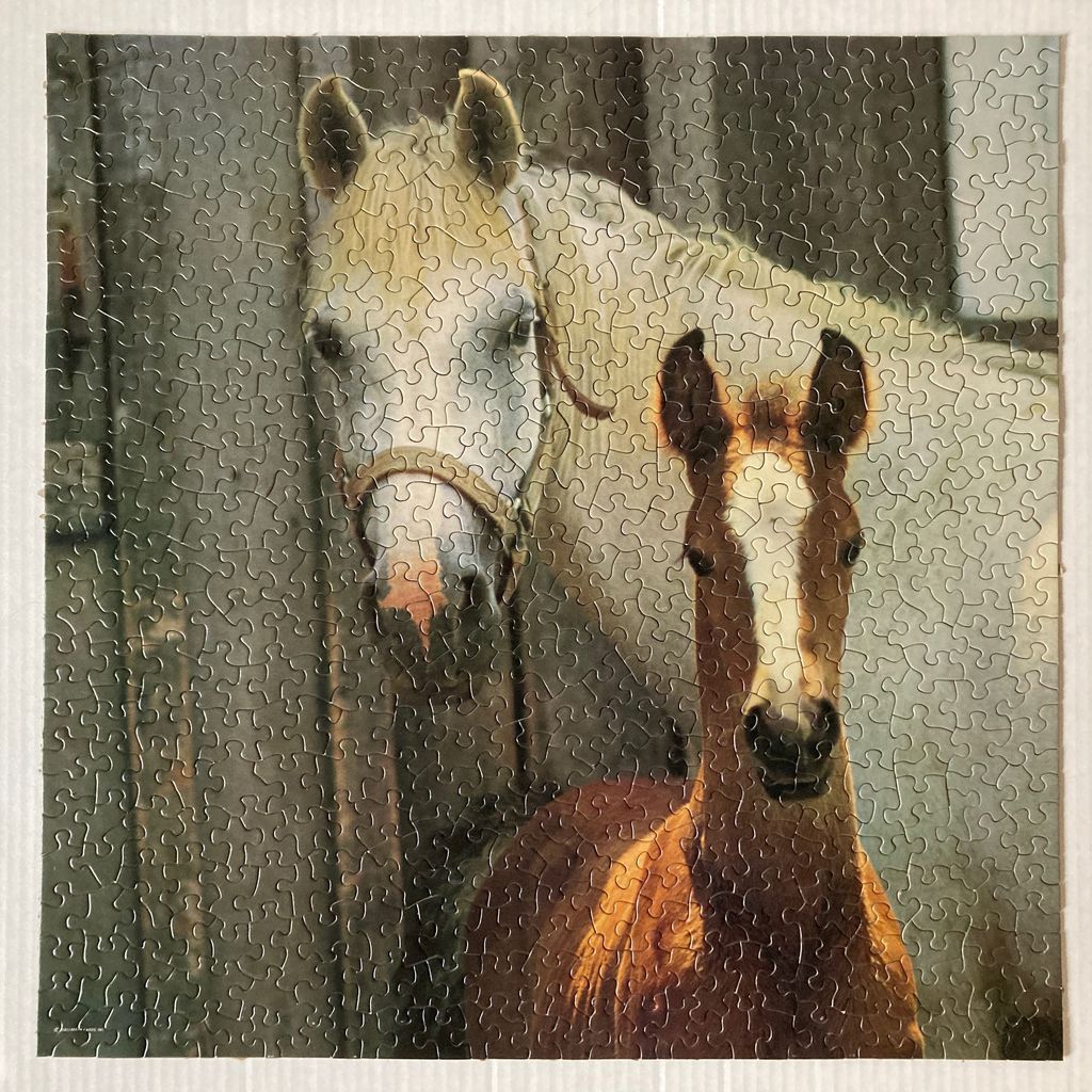 A white mare and her chestnut foal standing in a dimly lit stable.
