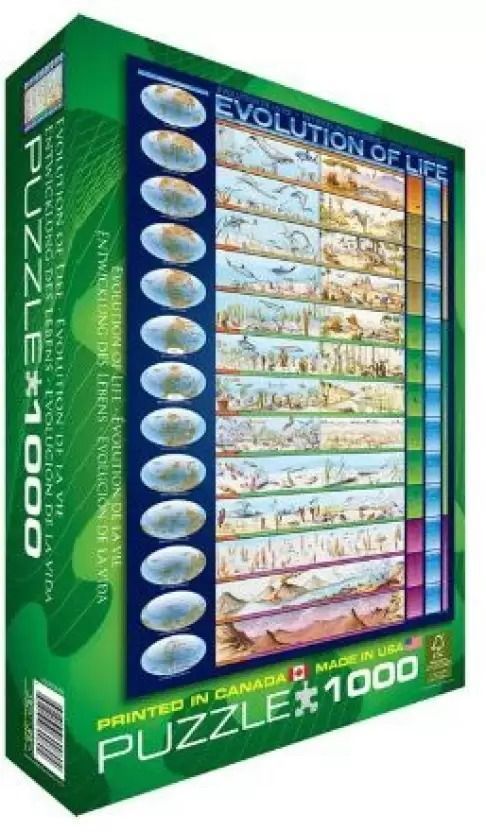 A scientific illustration depicting the chronological evolution of life on Earth.