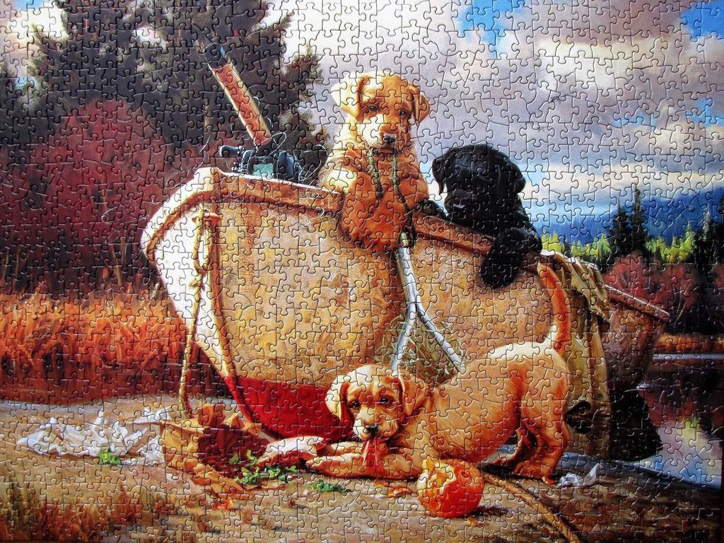 Three playful puppies interacting with a wooden rowboat on a shore.