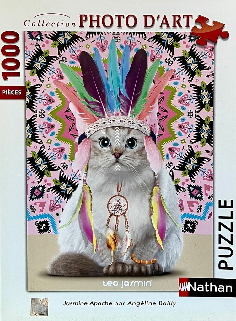 A fluffy white cat wearing a colorful feather headdress and a dreamcatcher necklace against a geometric, patterned background