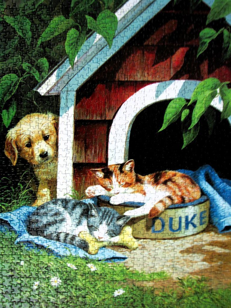 A golden puppy peeking from a doghouse while two cats sleep nearby in a garden.
