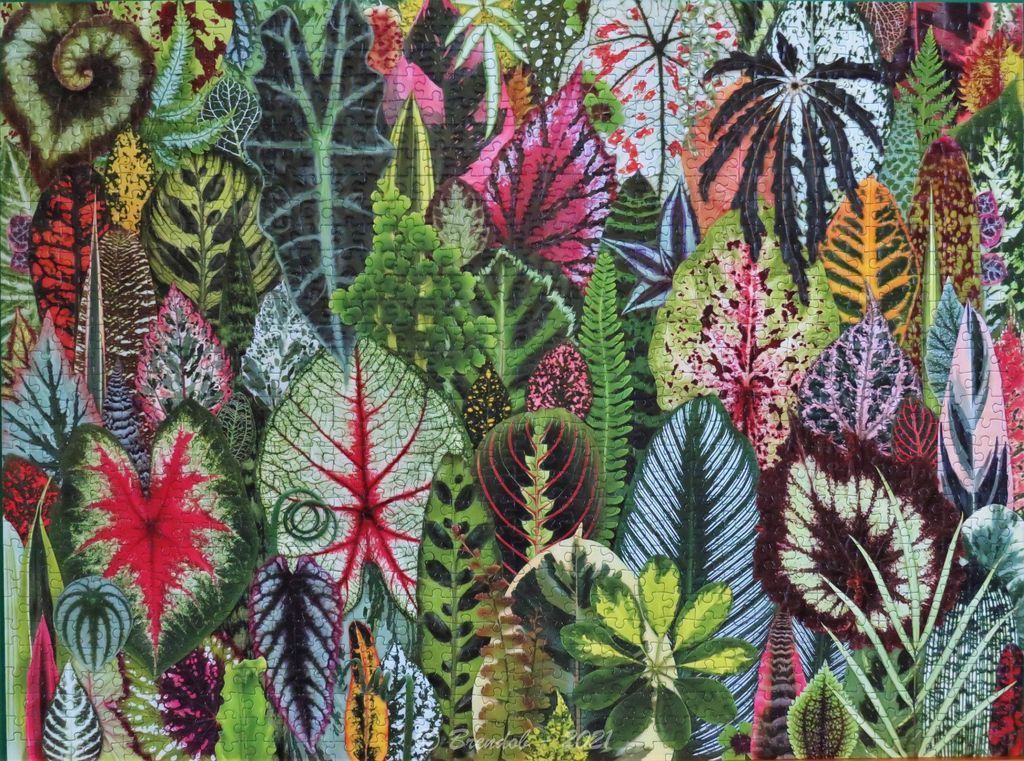 A lush, vibrant illustration packed with a diverse variety of colorful tropical plant leaves.
