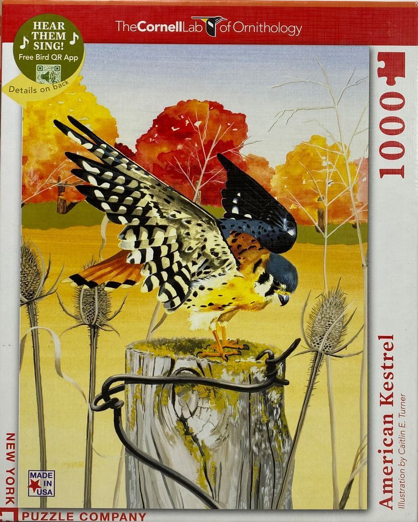 Illustration of an American Kestrel bird perched on a weathered fence post amidst an autumnal landscape.