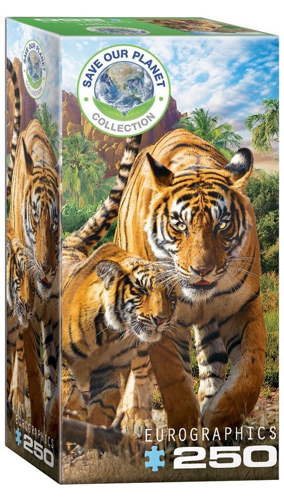 A mother tiger and her cub walking through a lush jungle landscape under a bright blue sky.
