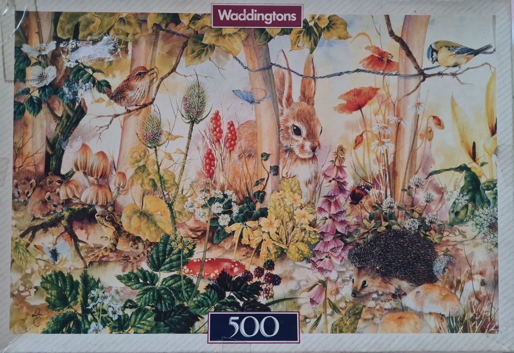 Illustration of woodland animals including a rabbit, hedgehog, and toad amidst lush forest flora.