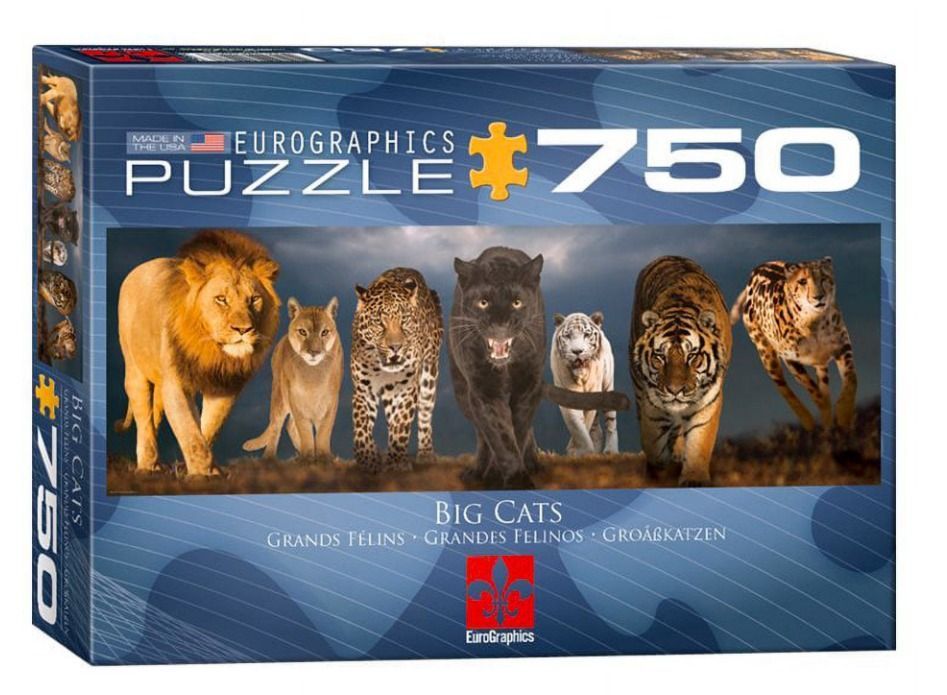 A panoramic photograph of seven different wild big cats walking forward across a dry, grassy landscape.