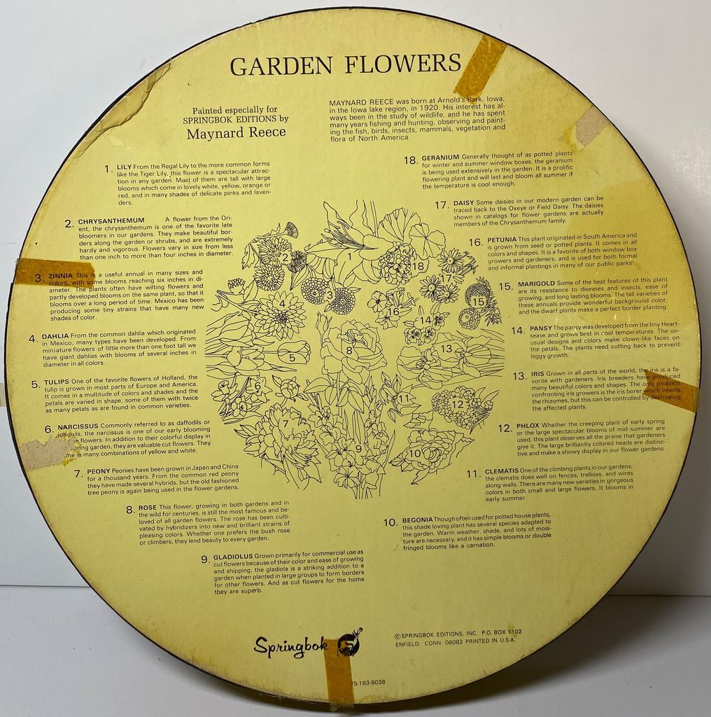 Garden Flowers