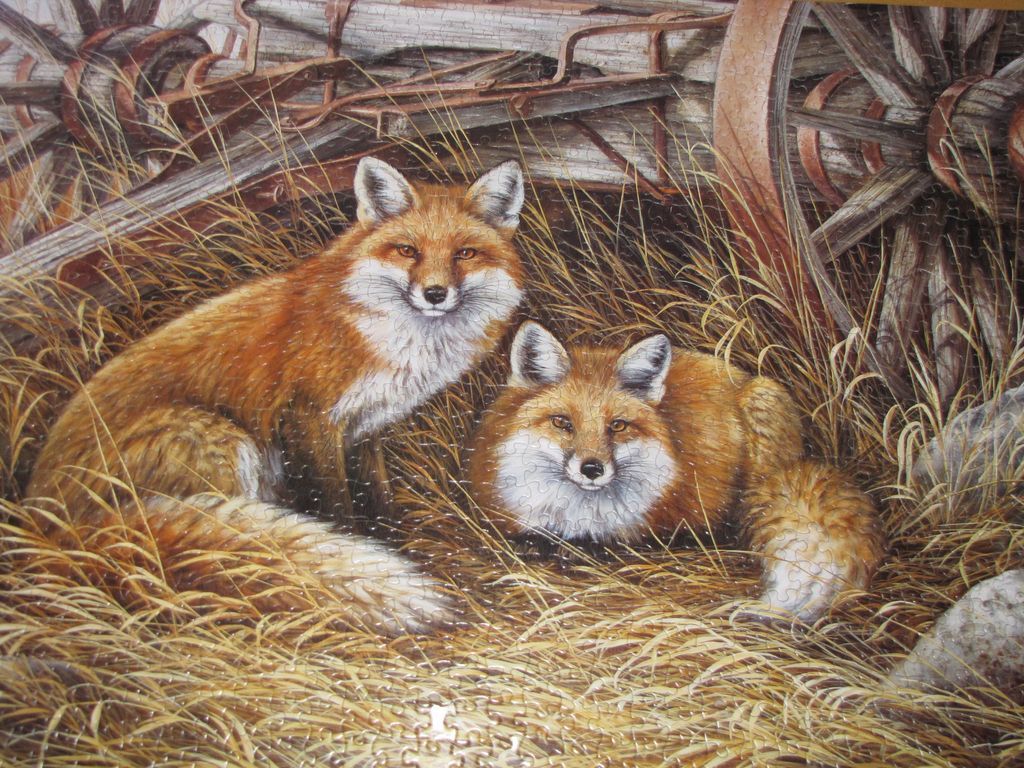 Two red foxes resting in dry straw in front of an antique wooden wagon wheel.