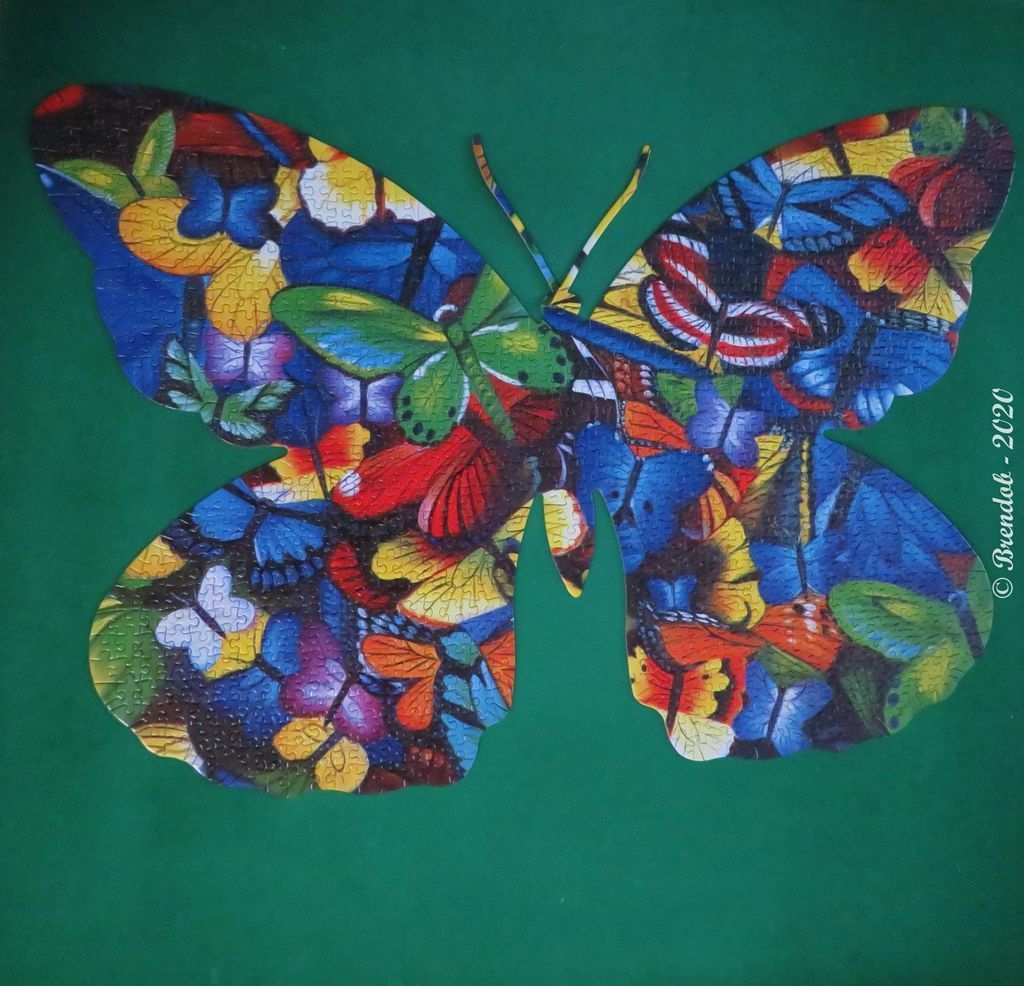A vibrant, mosaic-style butterfly composed of many smaller butterfly silhouettes against a dark green background.