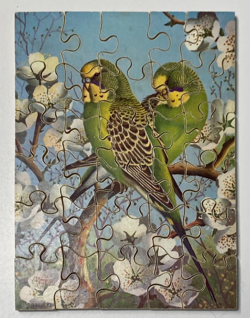 Two green budgies perched on a flowering branch against a blue sky