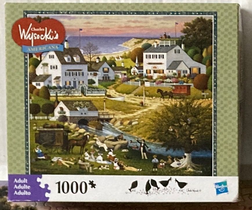 An illustration of a coastal village scene with people picnicking by a stream and white colonial houses.