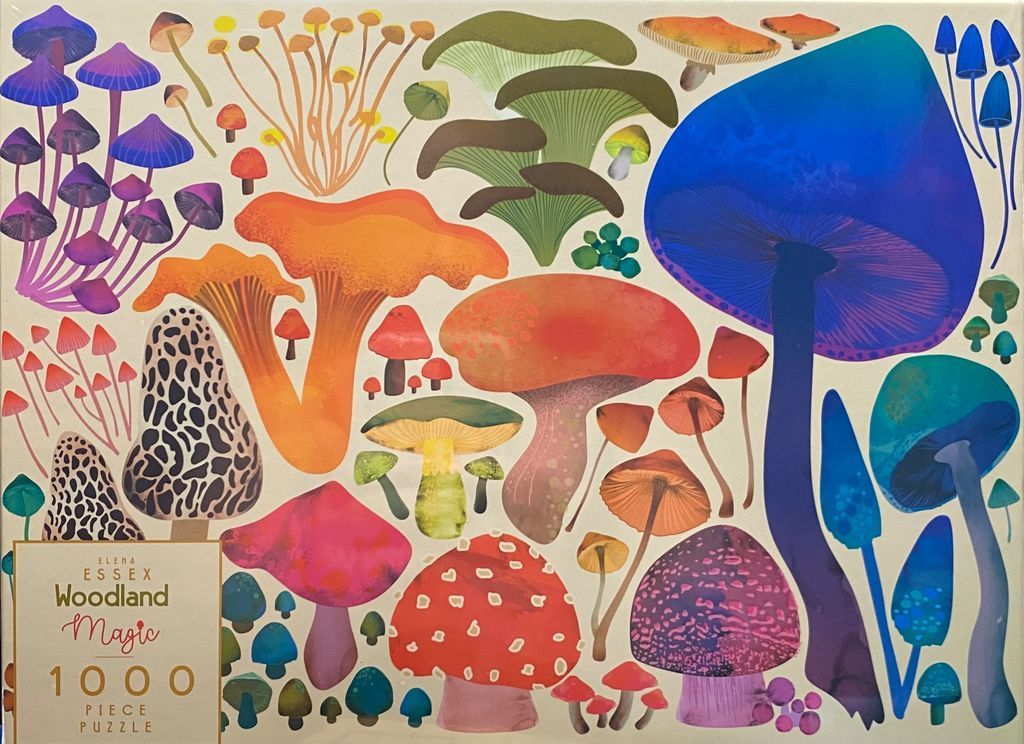 Illustration of various mushrooms in vibrant colors against a light cream background.