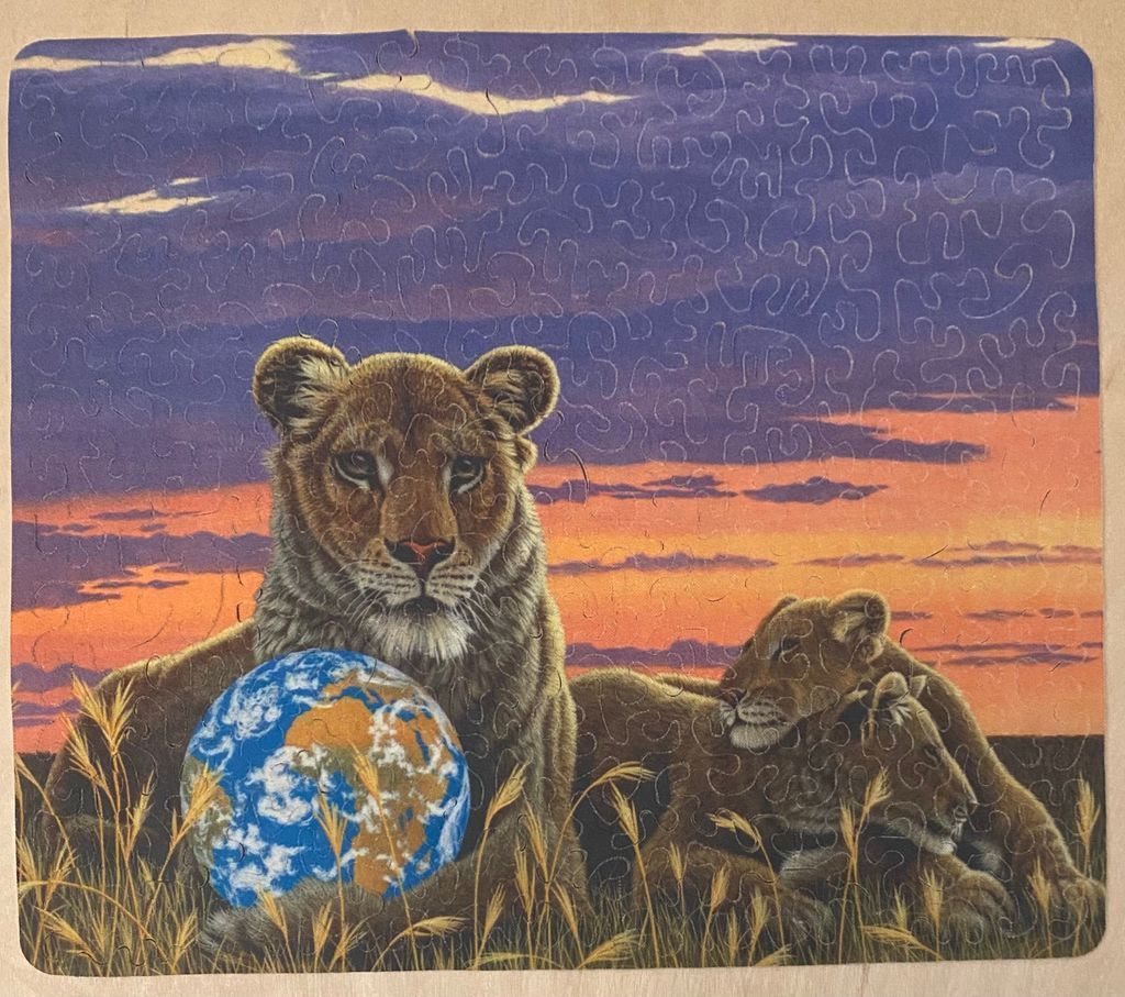 A lioness and cubs resting in tall grass with a globe at sunset.