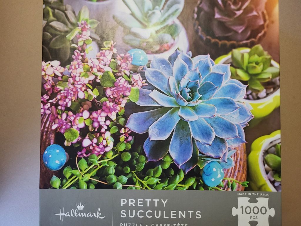 A top-down arrangement of various succulents in colorful pots with small blue toadstool decorations.