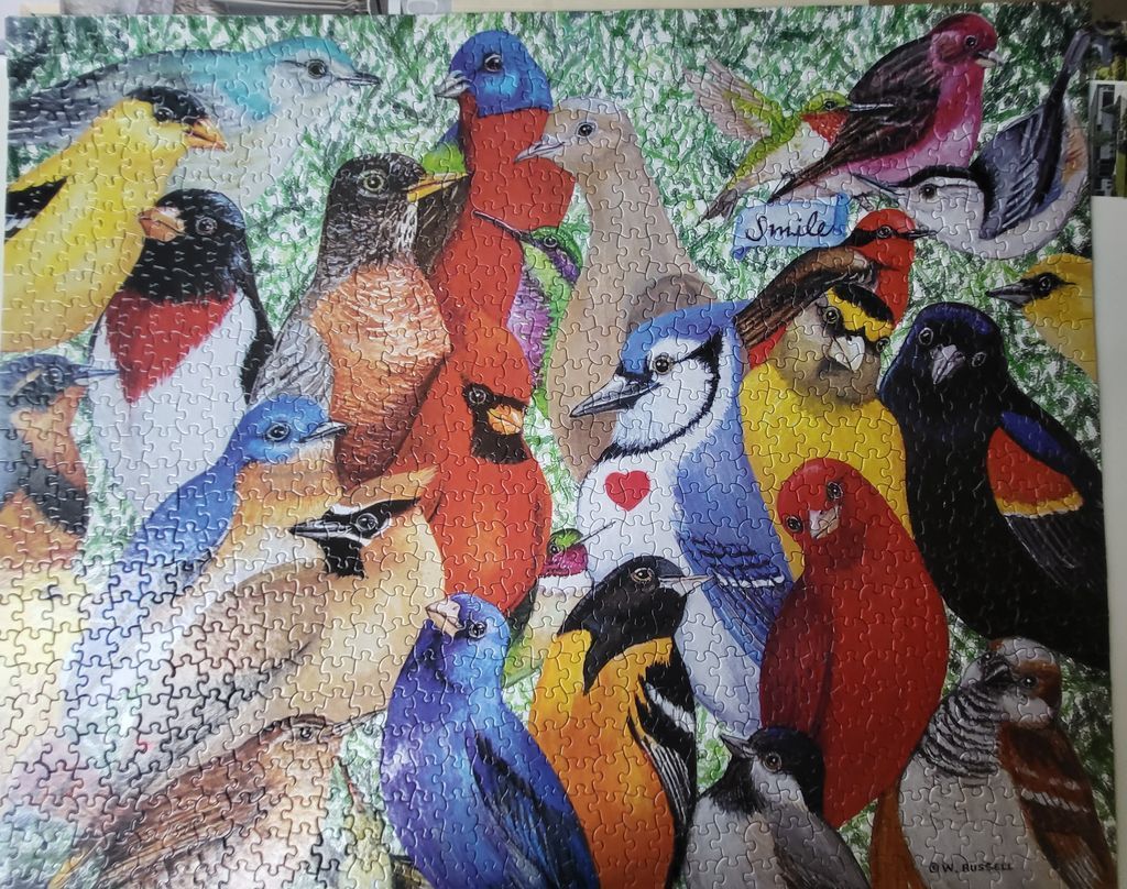 A dense illustration of many different colorful songbirds gathered together in a forest setting.