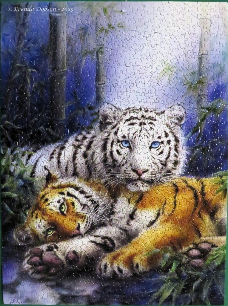 A digital illustration of a white tiger resting behind a resting orange tiger in a moonlit bamboo forest.