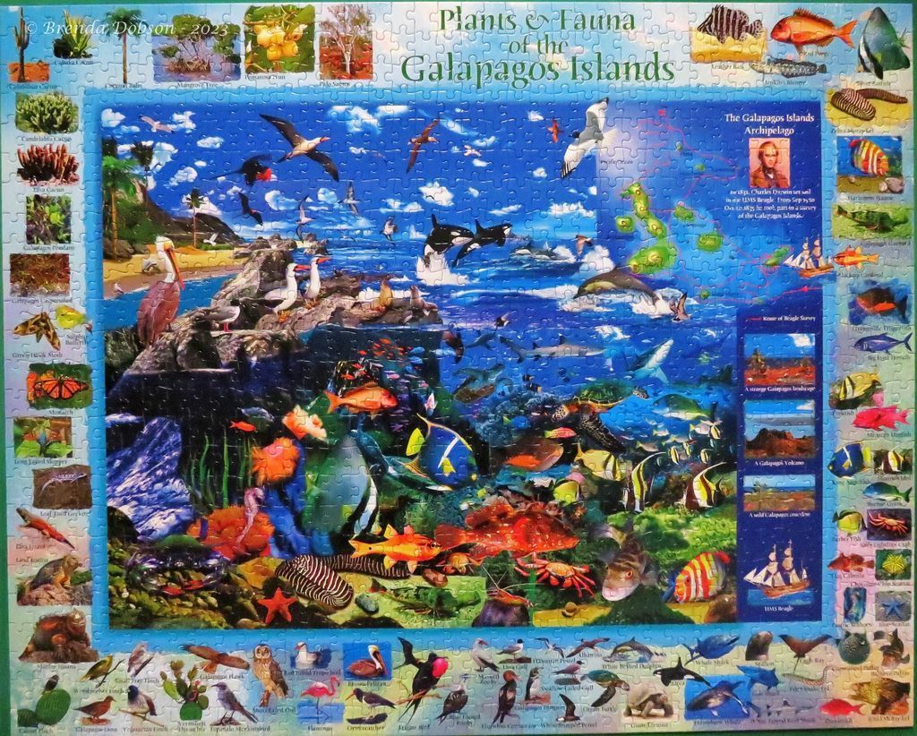 A detailed collage of Galapagos Islands wildlife with a central marine scene and map.