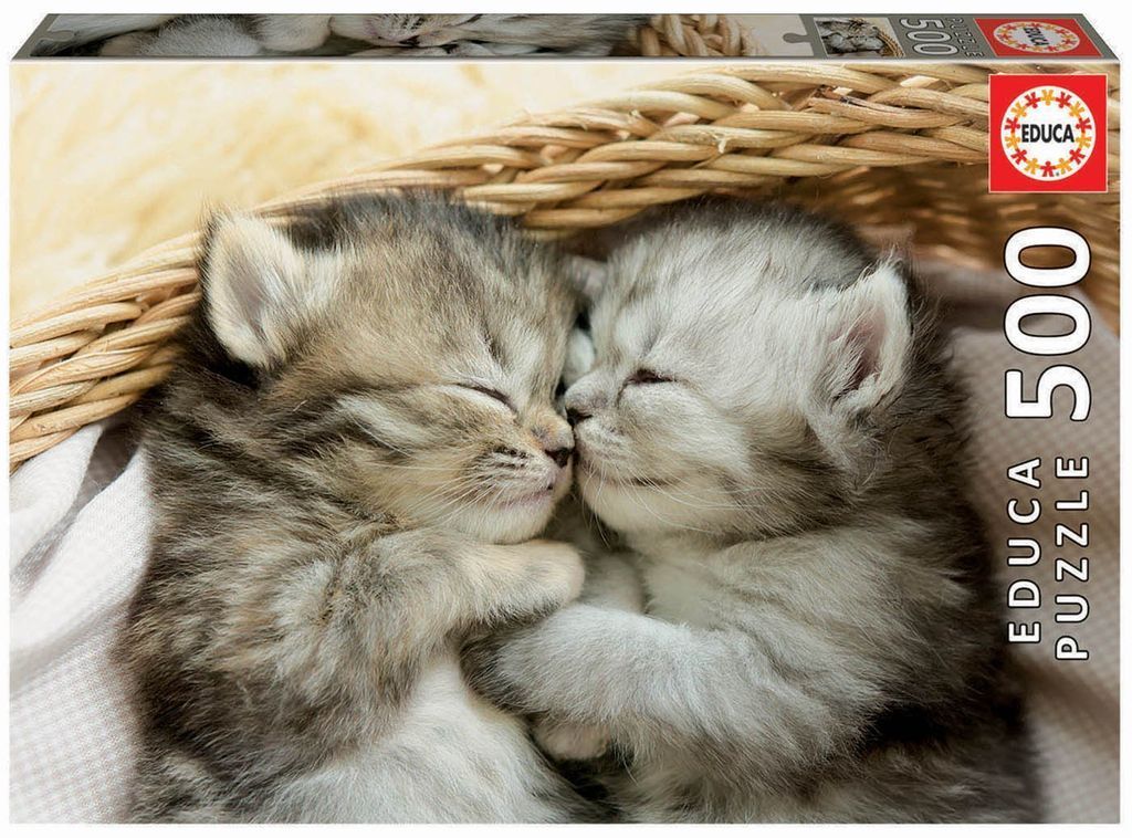 Two fluffy kittens cuddling together inside a woven wicker basket.