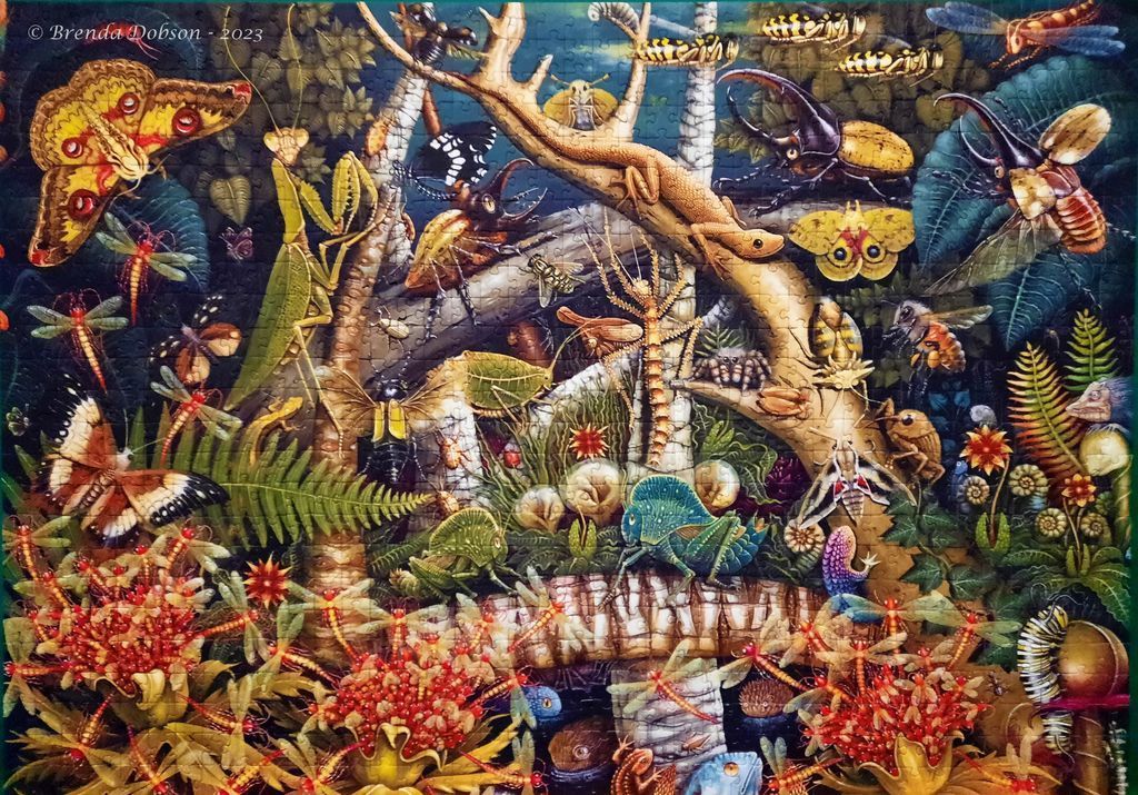 A dense illustration of diverse insects and small creatures inhabiting a lush, dark forest setting.