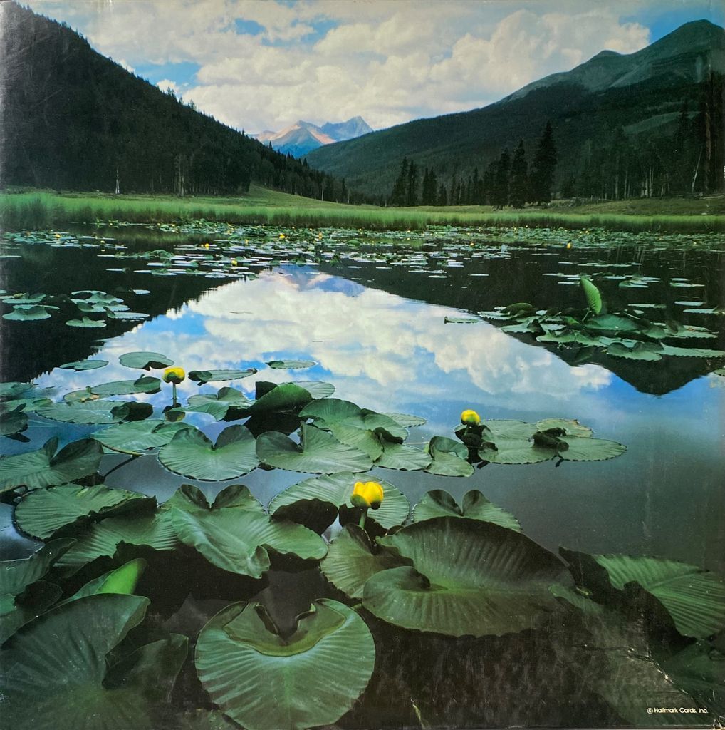 A tranquil mountain lake filled with lily pads and yellow pond lilies, reflecting the blue sky and surrounding peaks.