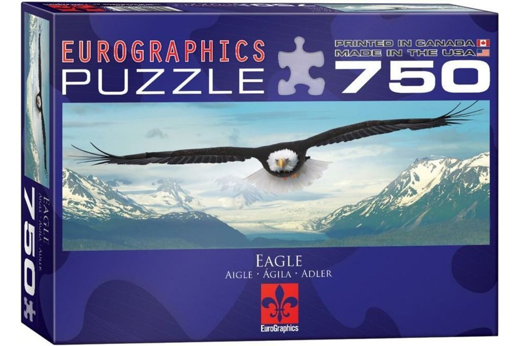 A bald eagle in flight over a snowy mountain range