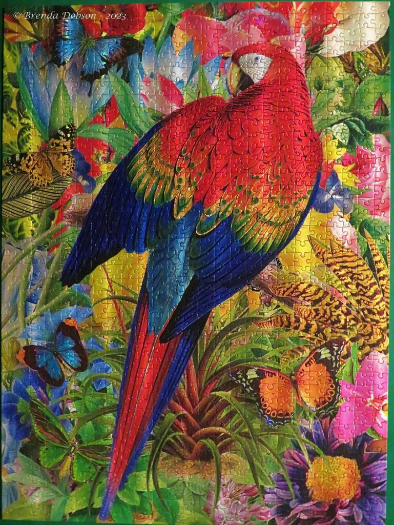 A vibrant scarlet macaw surrounded by colorful butterflies and tropical flora in a detailed painting.