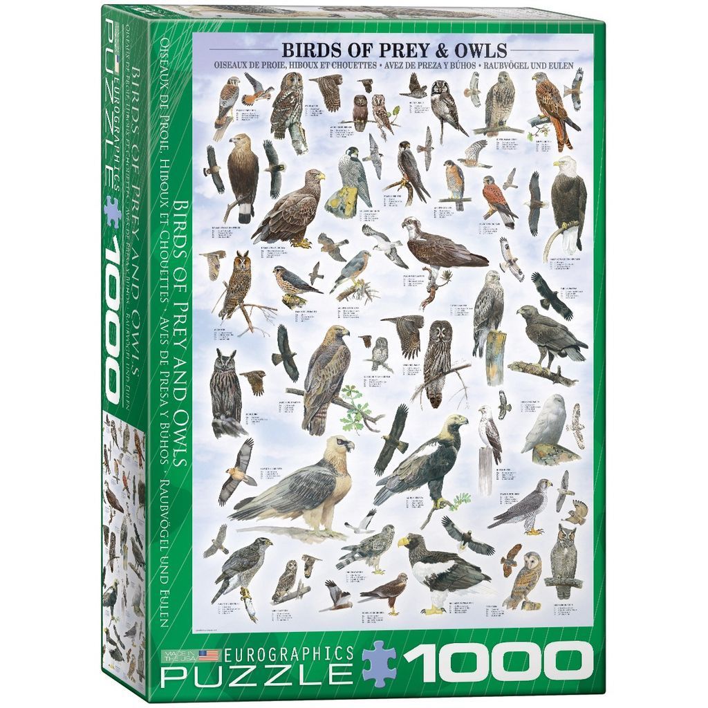 Field guide illustration featuring a wide variety of birds of prey and owls against a white background.