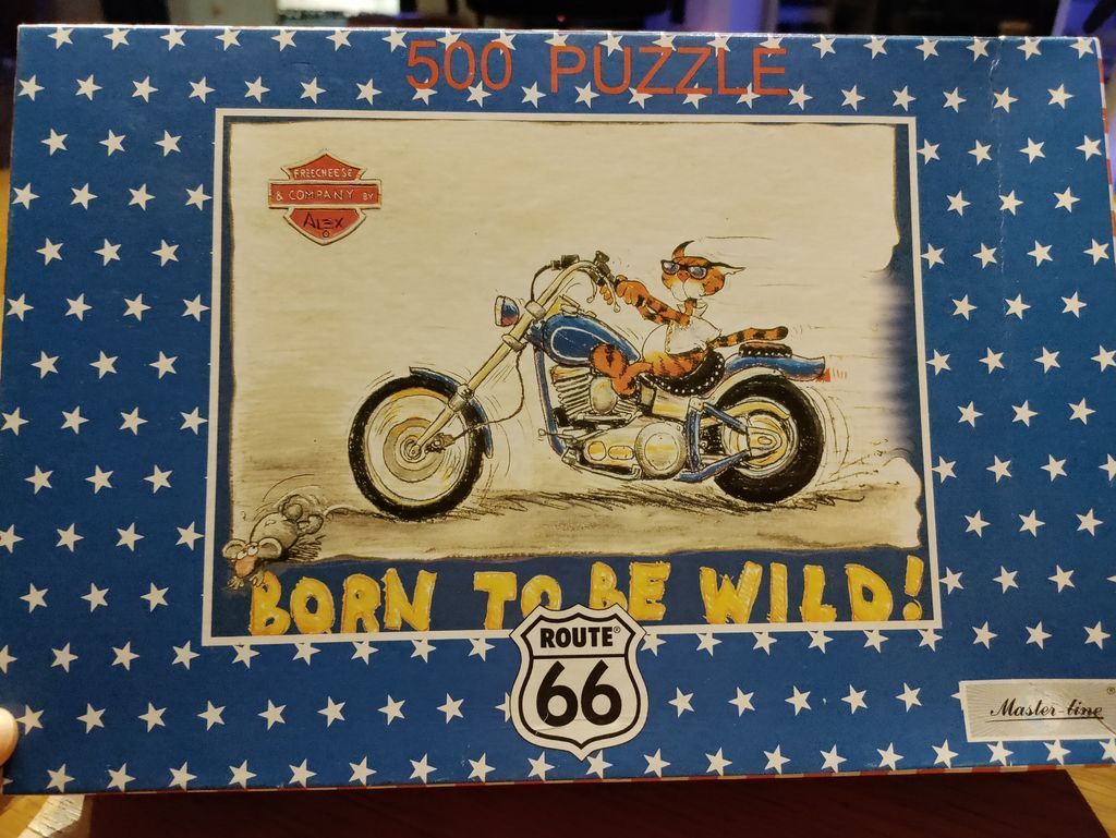 A cartoon illustration of a tabby cat riding a motorcycle, with a mouse chasing behind, on a blue star-patterned background.