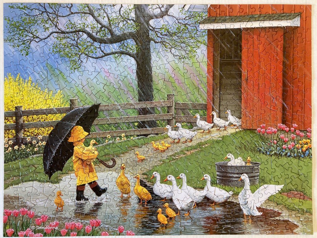 A child in a yellow raincoat and black umbrella walks with ducks on a rainy day near a red barn.