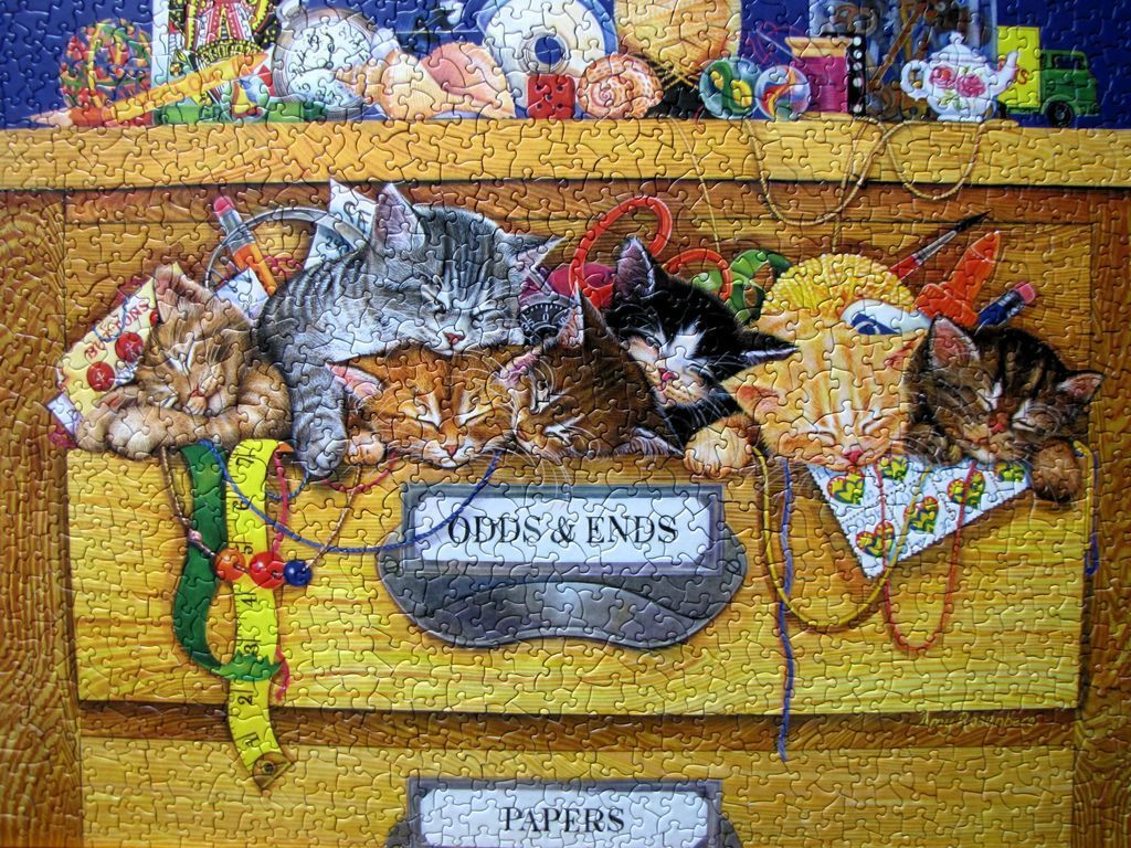 Five kittens sleeping in a wooden drawer labeled Odds & Ends
