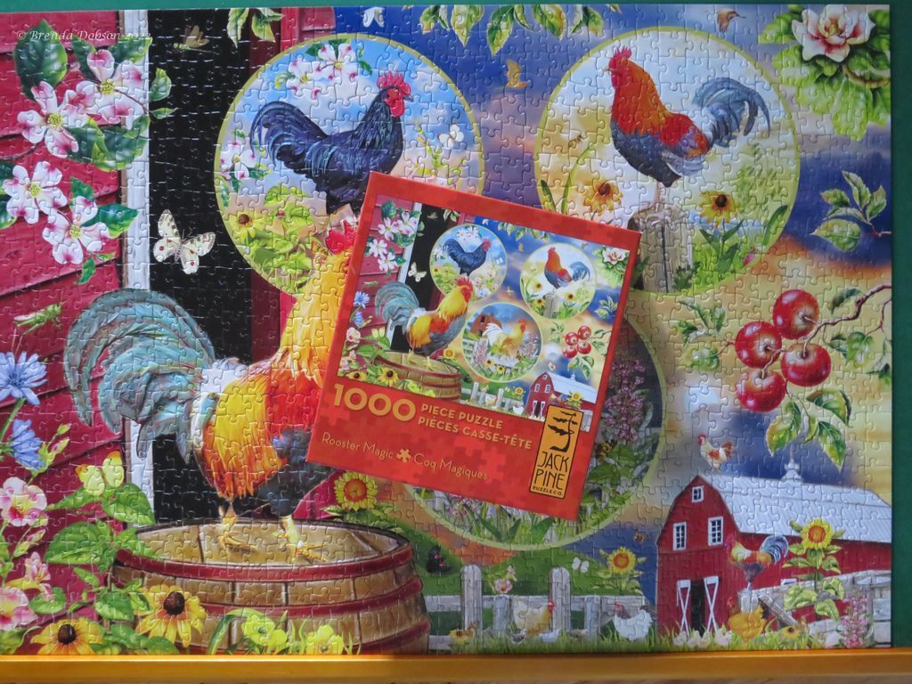 Rooster Magic