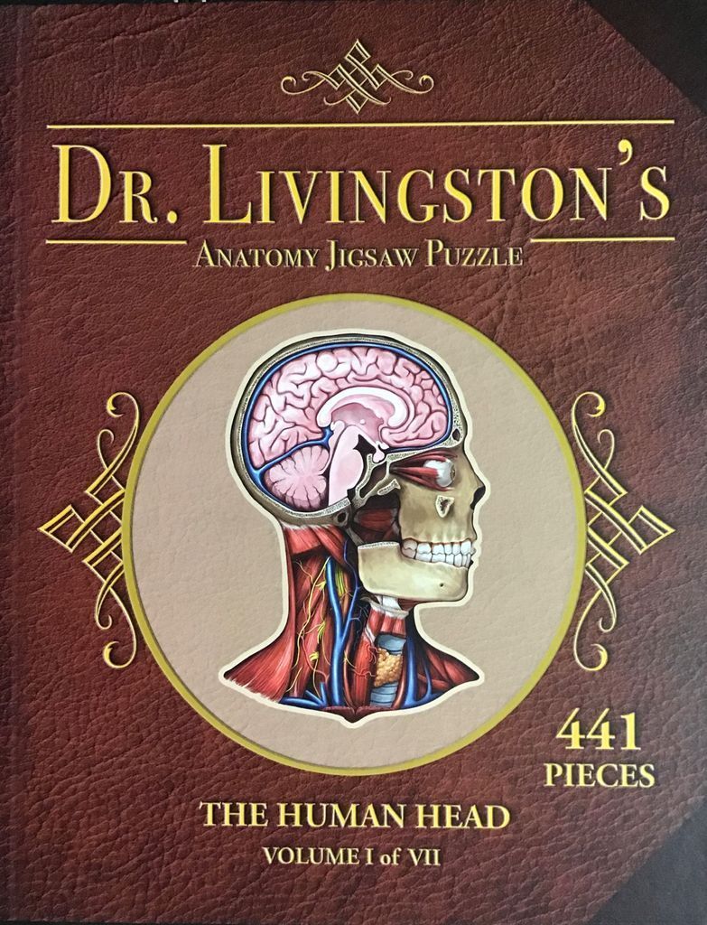 An anatomical illustration of a human head in profile on a dark leather-textured background.