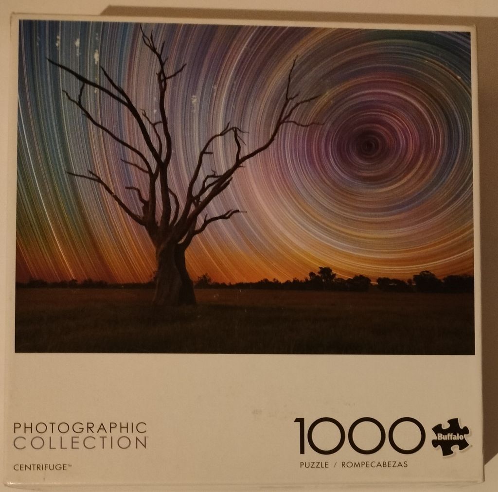 A long-exposure photograph of a silhouetted bare tree against a circular star trail sky.