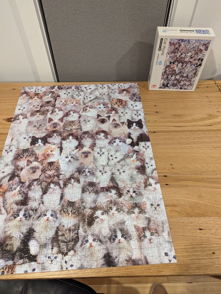 A dense collage of dozens of cat faces staring forward