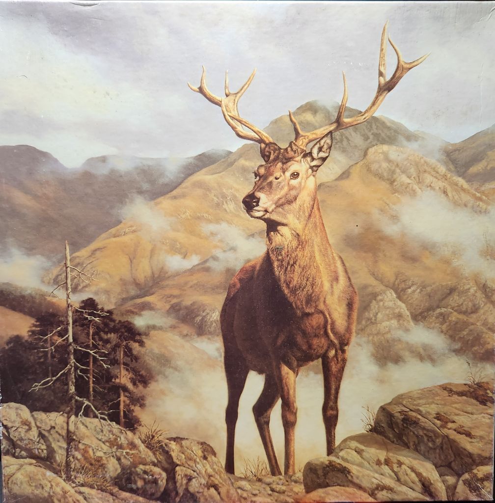 A majestic red deer stag with large antlers standing on a rocky outcrop overlooking a misty mountain landscape.