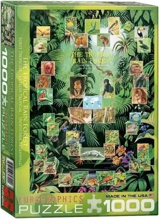 Collage of various rainforest animals and plants against a dense green jungle background.