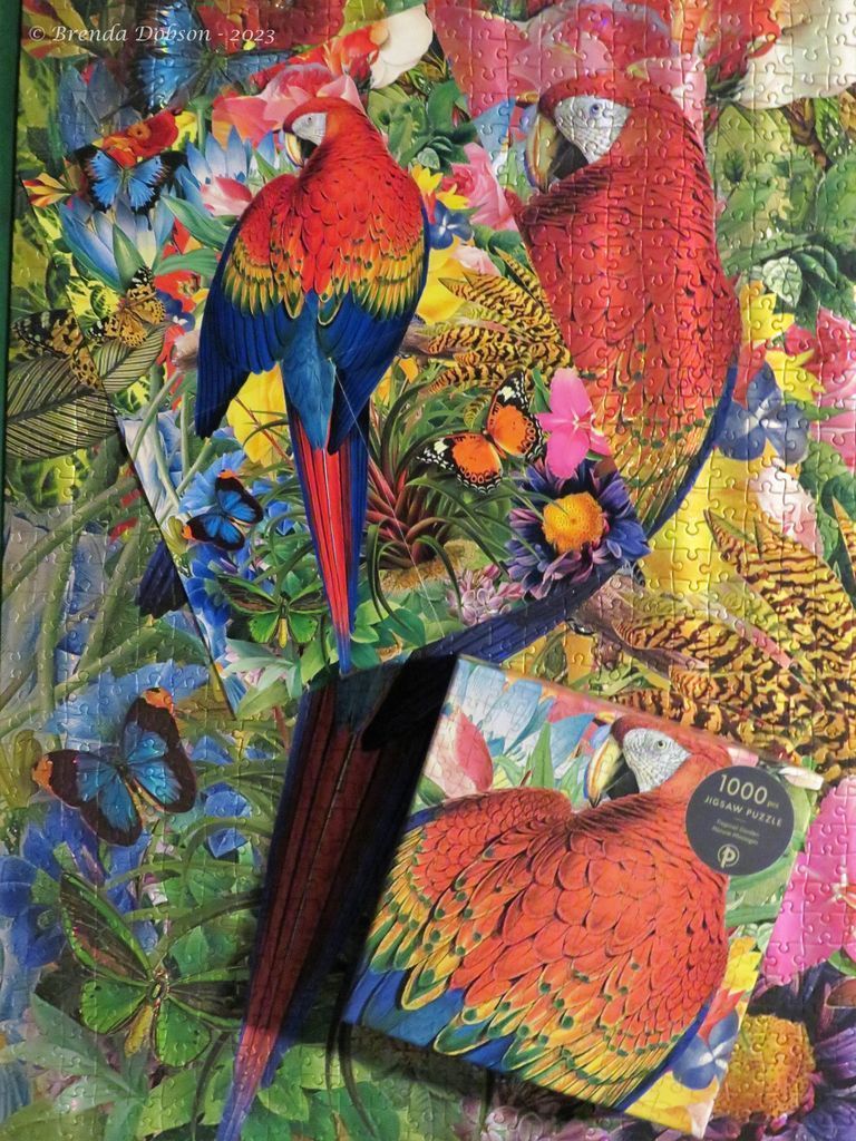 A vibrant tropical scene featuring scarlet macaws and colorful butterflies amongst exotic flowers.