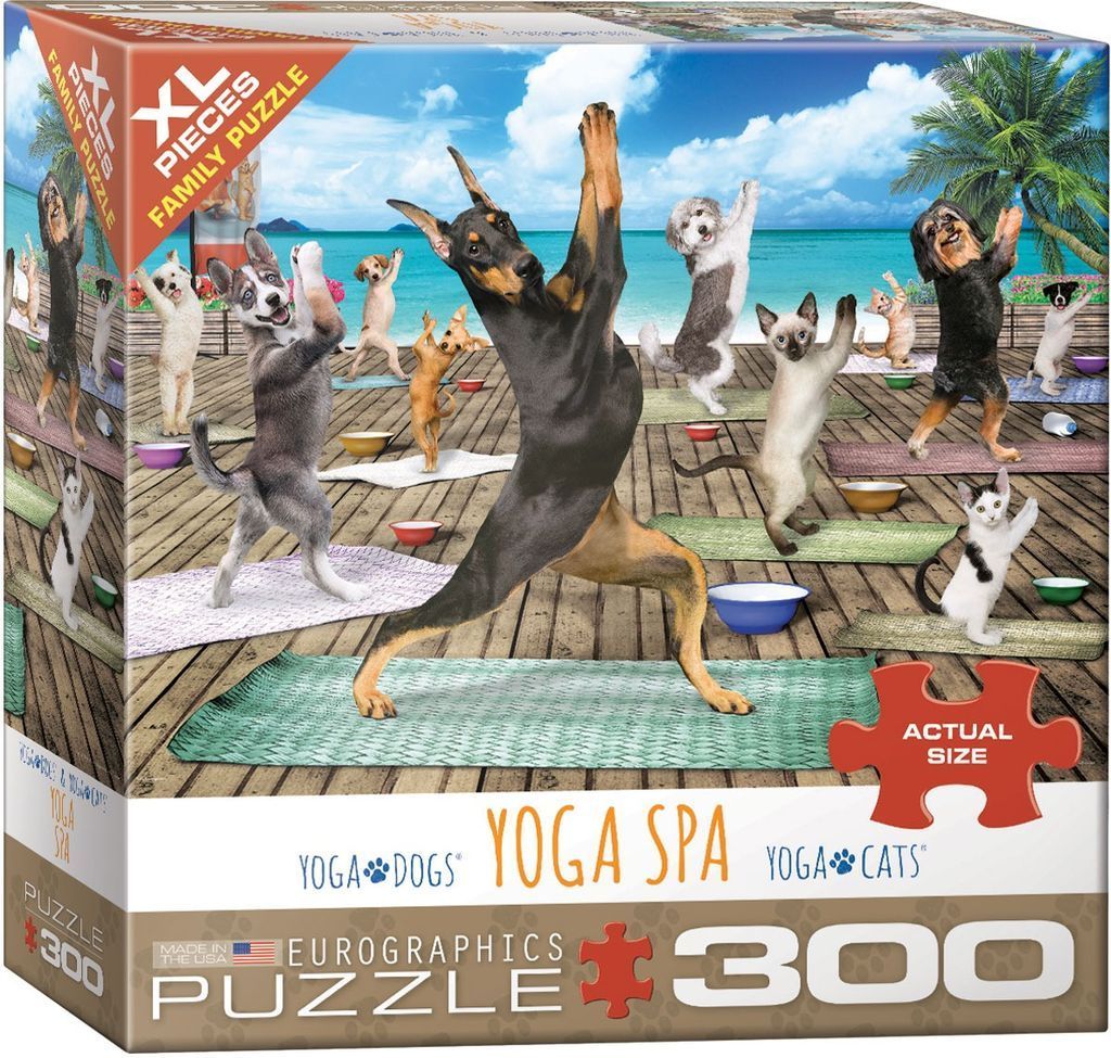 A group of dogs and cats practicing yoga on a wooden deck by the ocean.