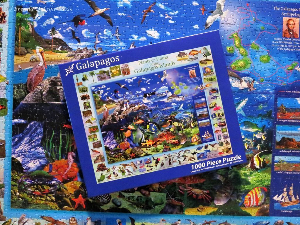 Galapagos - Plants & Fauna of the Galapagos Islands