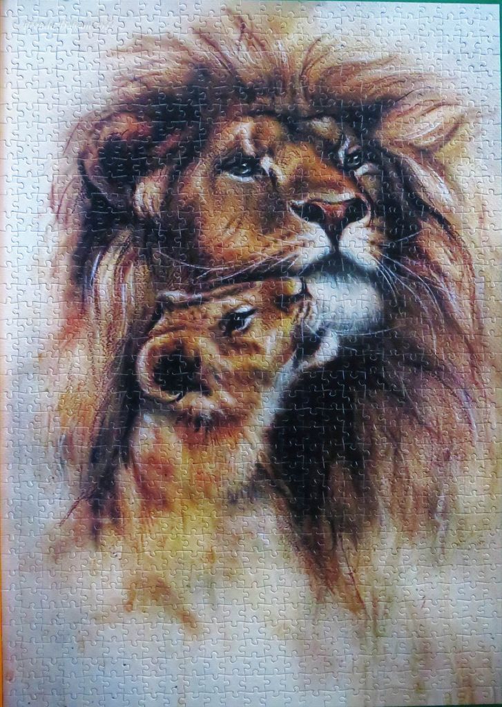 Artistic portrait of an adult male lion with a cub nestled beneath its chin
