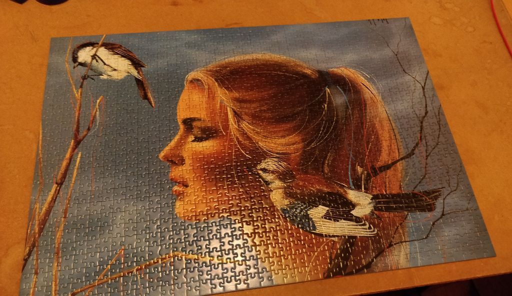 A double exposure painting of a woman