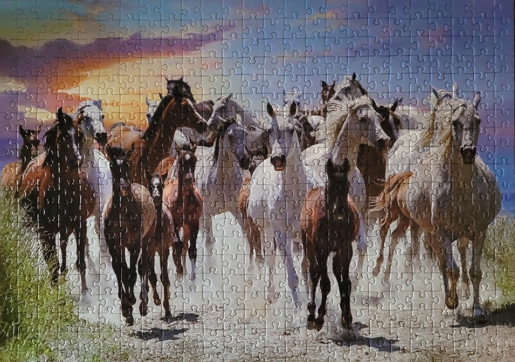 A herd of horses galloping forward at sunset.
