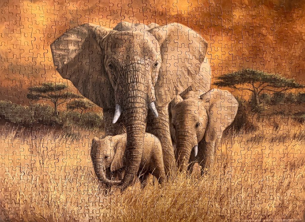 An adult elephant with two calves walking through tall golden grass against a fiery sunset sky.