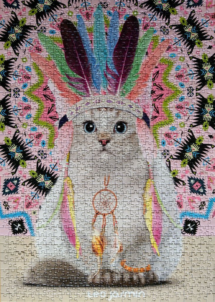 A whimsical illustration of a white cat wearing a vibrant, colorful feather headdress and a dreamcatcher necklace.