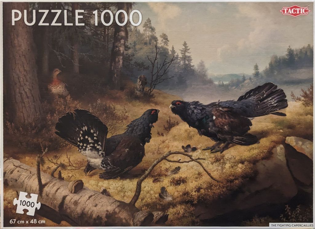 Painting of two capercaillie birds displaying in a forest clearing