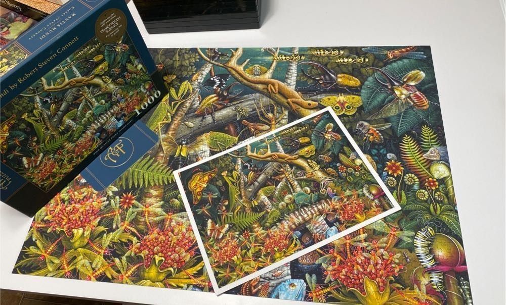 Detailed illustration of diverse insects and reptiles in a lush, dark green forest setting.