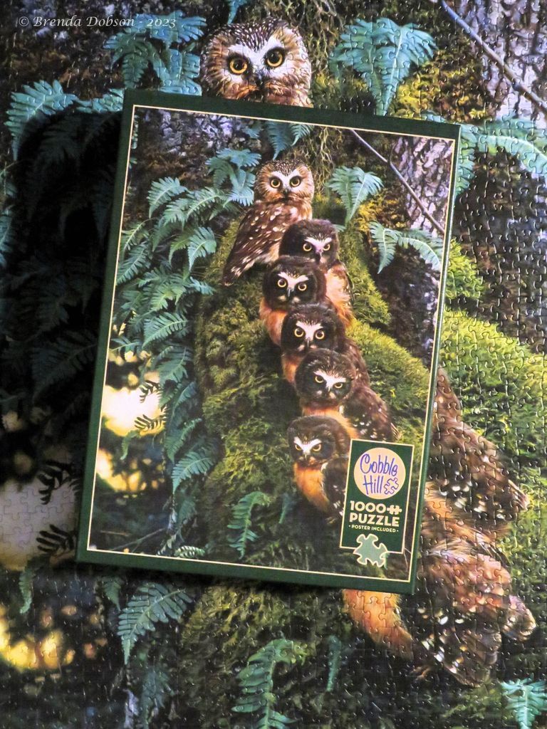 Family Tree