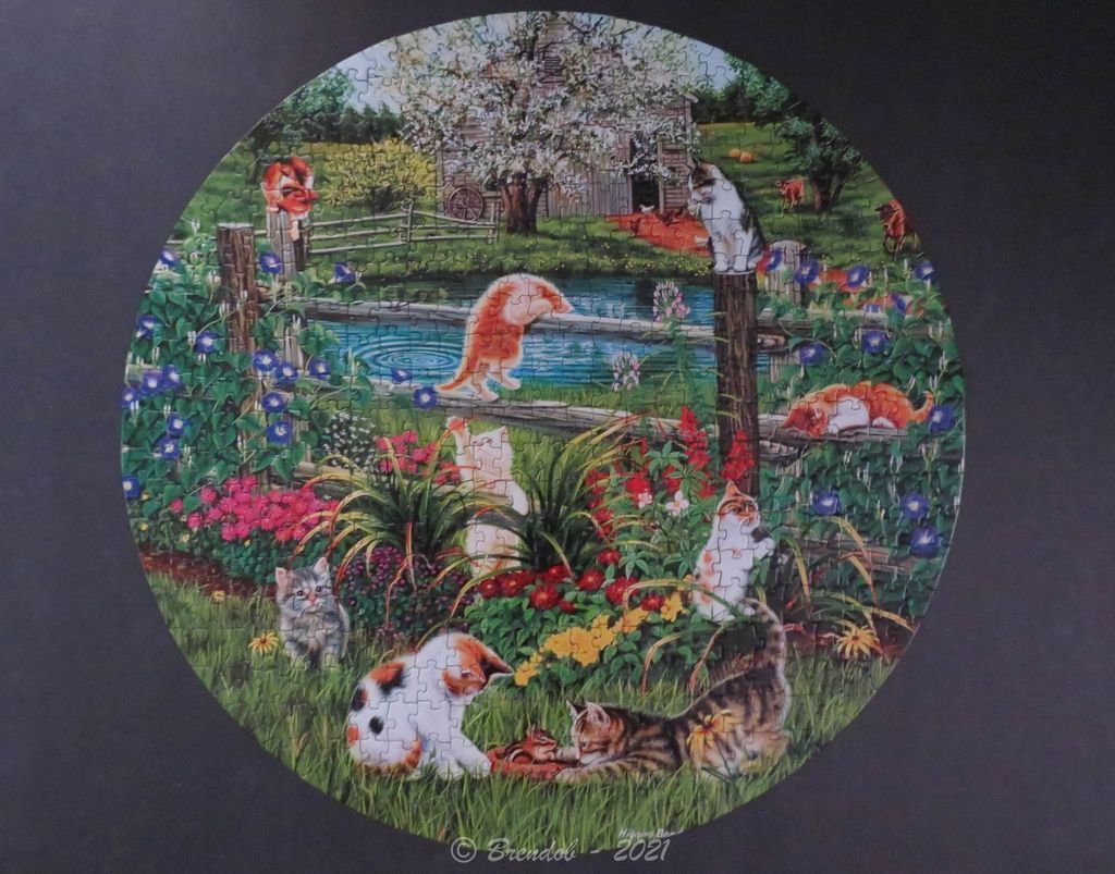A round illustration of several kittens playing in a lush garden near a pond and barn.