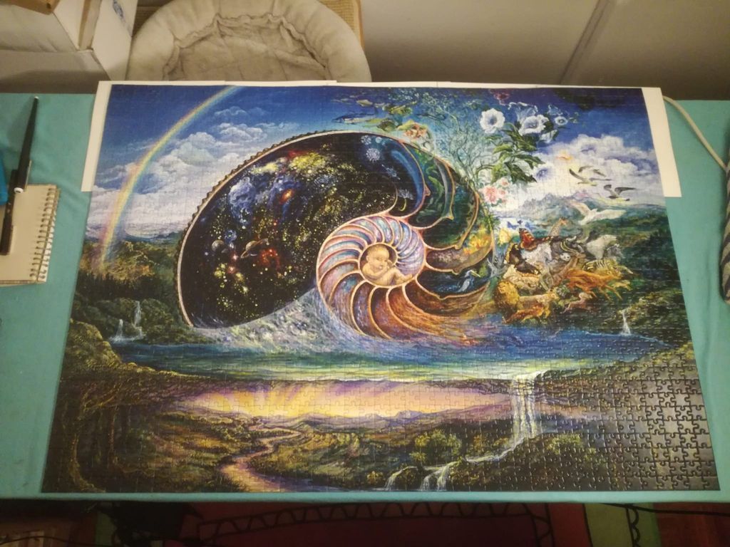 A surreal illustration featuring a giant nautilus shell housing a galaxy and a human baby, set against a lush landscape.